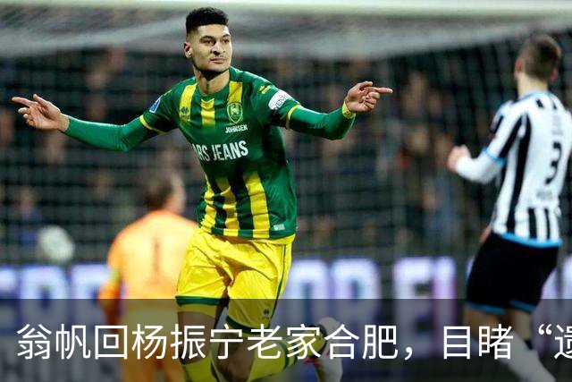 翁帆回杨振宁老家合肥，目睹“遗产”落地，才知亡夫留了一手好牌